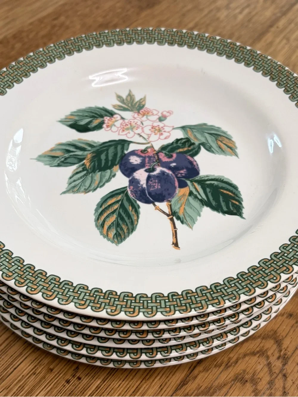 White Ceramic Fruit-Pattern Dinnerware Bowl with Green Trim